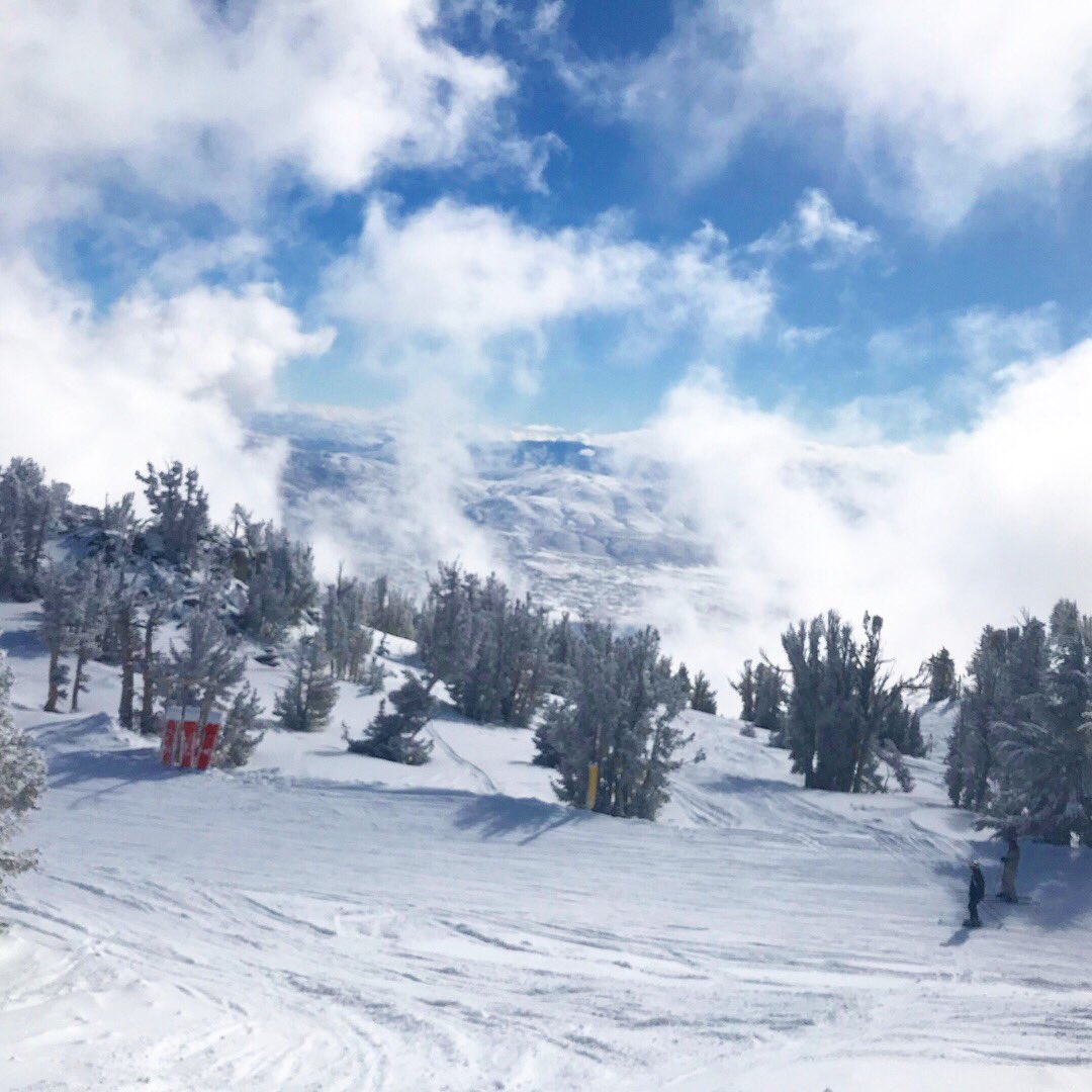 LarryFrugoliDMD's tweet photo. Paradise doesn’t have to be tropical. ☺️❄️⛷🗻 #sundayfunday #mtrose #hittheslopes #brush #floss #ski #smile https://t.co/6rojeVMil1