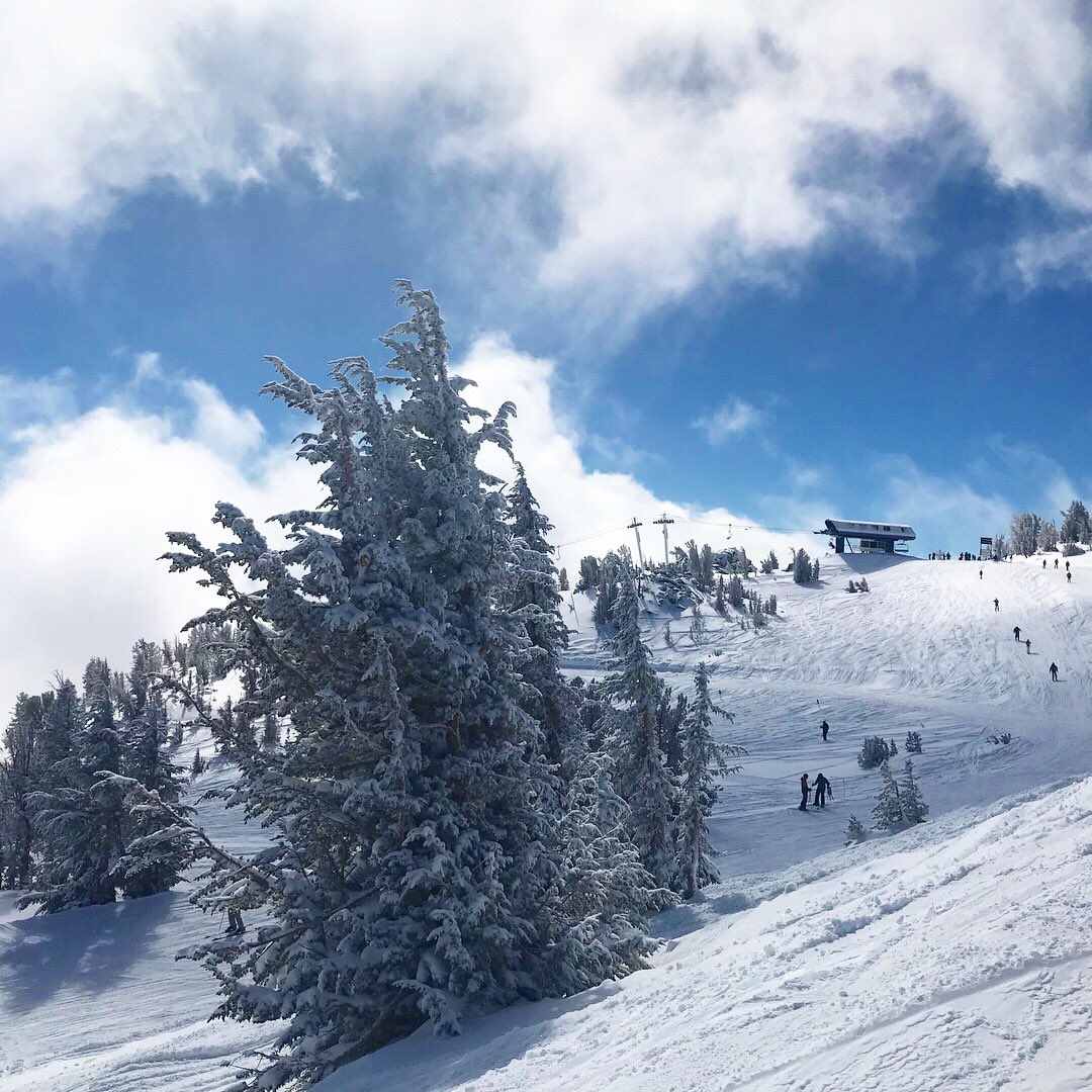 LarryFrugoliDMD's tweet photo. Paradise doesn’t have to be tropical. ☺️❄️⛷🗻 #sundayfunday #mtrose #hittheslopes #brush #floss #ski #smile https://t.co/6rojeVMil1