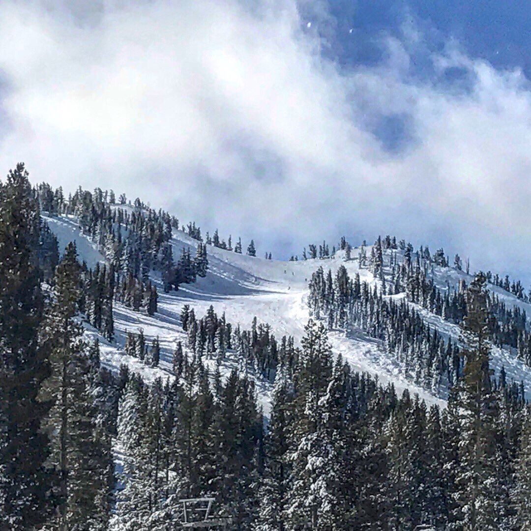 LarryFrugoliDMD's tweet photo. Paradise doesn’t have to be tropical. ☺️❄️⛷🗻 #sundayfunday #mtrose #hittheslopes #brush #floss #ski #smile https://t.co/6rojeVMil1