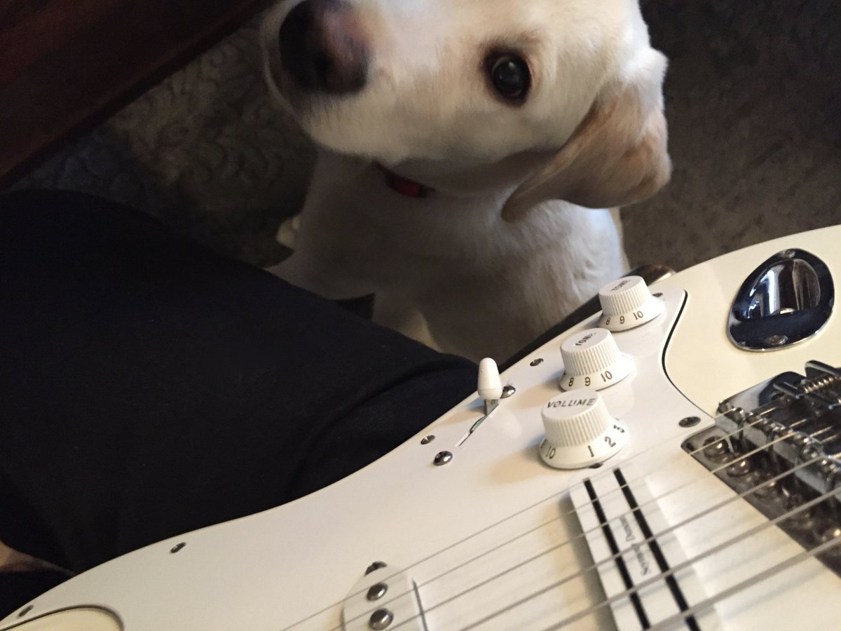 StevenAugeri's tweet image. Working with #Sixwire and all the incredible artists at #TheWarburon2018 #StJudes has so totally inspired me to take #PenToPaper however it appears I have a new critic #inthehouse, #LittleGibson! #GibsonMeetsFender #New Song #NewHope #NewDay #NewPuppy  #ThreeChordsAndADream