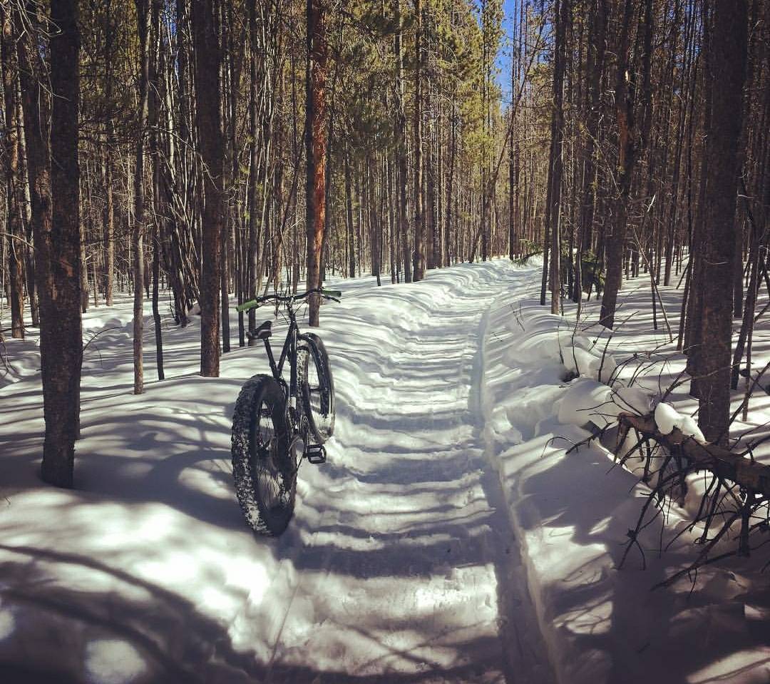 WinterPark's tweet photo. Enjoying the sunshine and little taste of spring this weekend.
📷 @bajajdave
#Winterparkresort #fatbike #TopAdventureTown https://t.co/oa07vYlmsJ