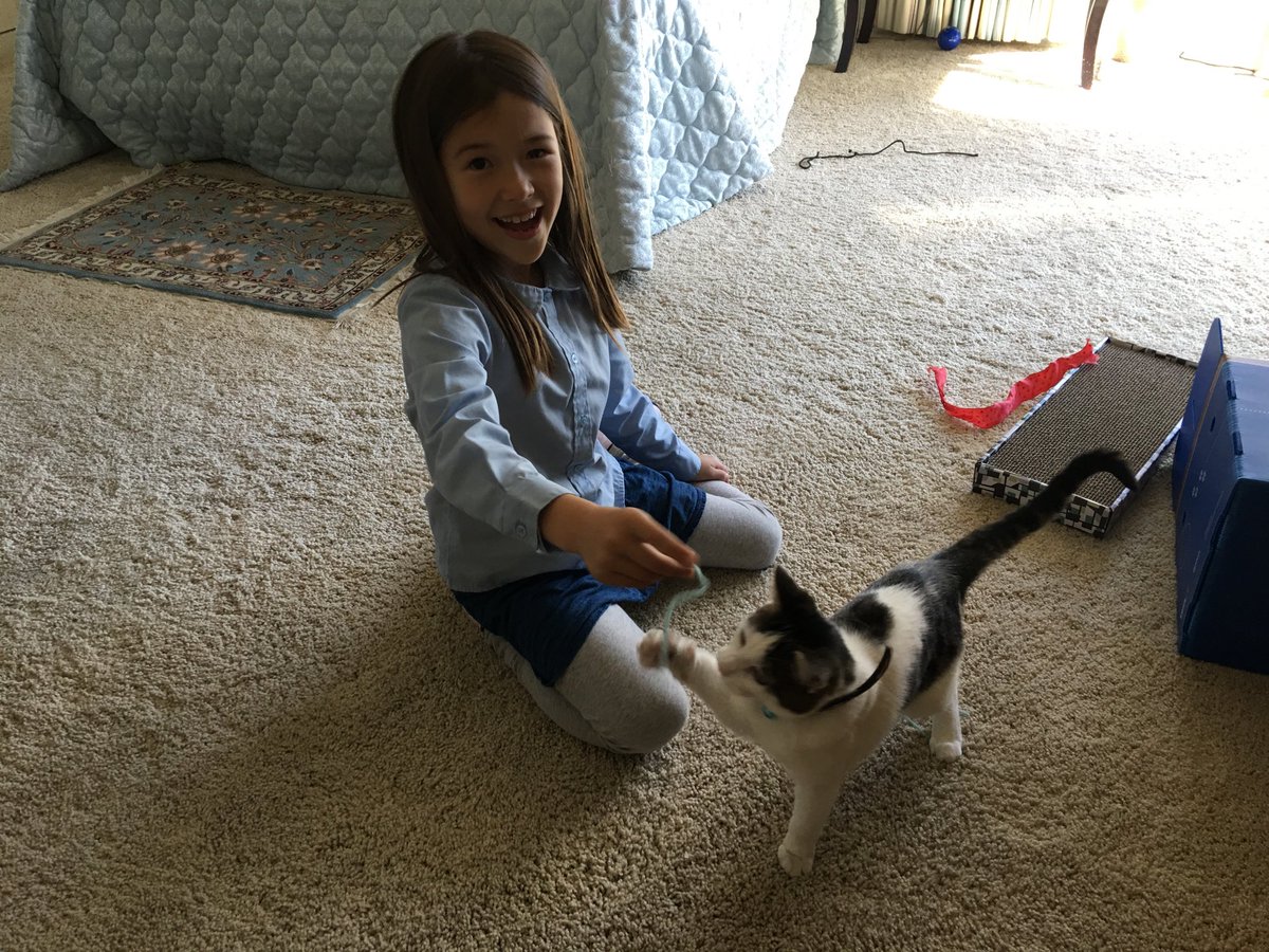 HikinJim1's tweet photo. Grandma's kitten is the best. https://t.co/LHeVKw0RRV