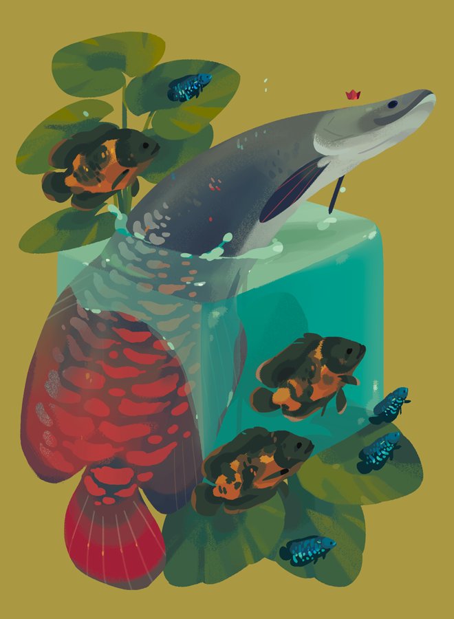 CitrusFoam's tweet photo. River kings: Arowana, Giant Gourami, Arapaima, and Redtail Catfish https://t.co/62NnYobkN0