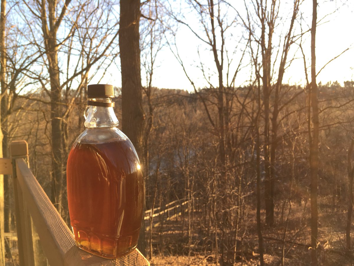 NorvalOutdoorSchool tweet media