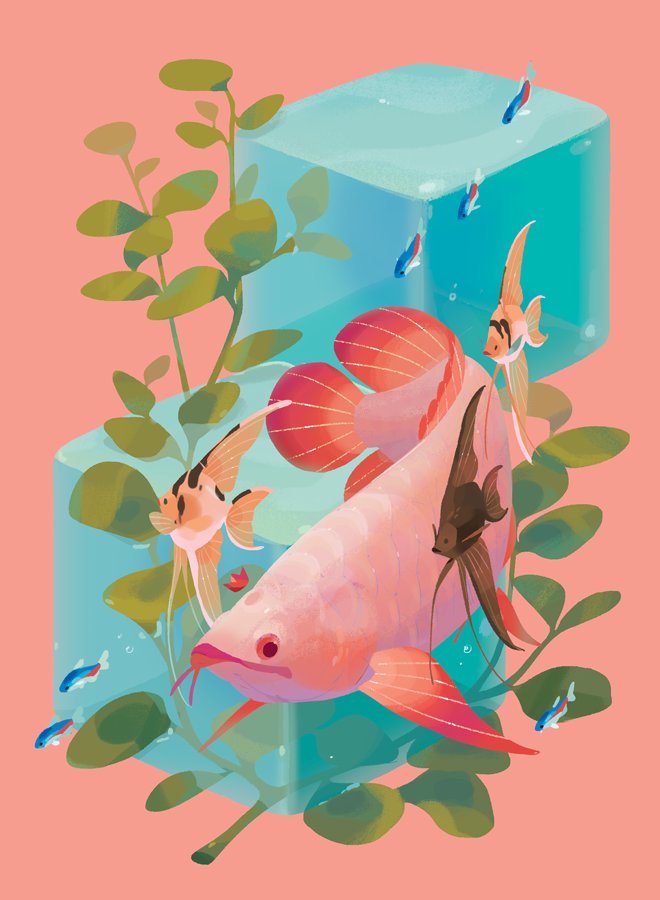 CitrusFoam's tweet photo. River kings: Arowana, Giant Gourami, Arapaima, and Redtail Catfish https://t.co/62NnYobkN0