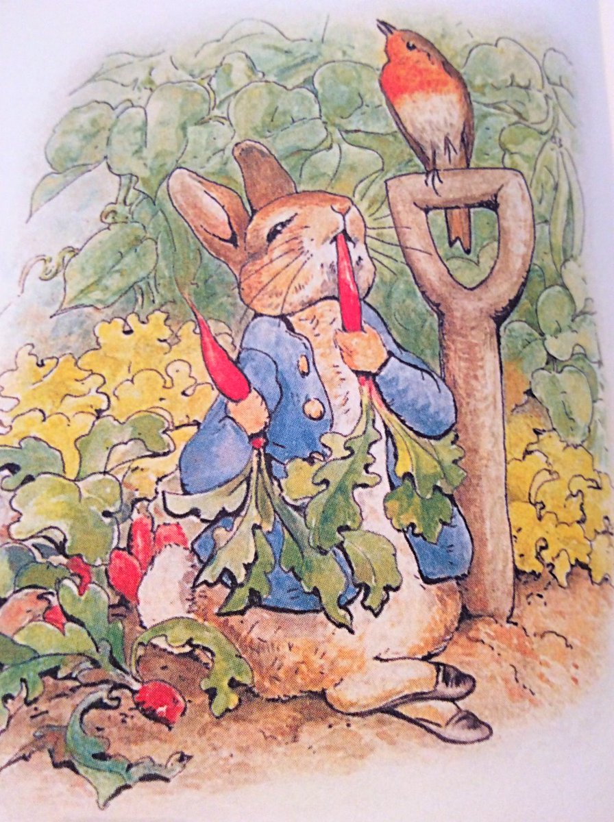 CountryHouseNY's tweet photo. A #Fairytale #Life - #new #CountryHouse #blog - https://t.co/15TJgvYoto | #PeterRabbit #GoodnightMoon #WhinniethePooh #MaryPoppins #Disney @GreatestShowman @WaltDisneyCo #childrensbooks #reading #movies #film #cinema #entertainment #imagination #onceuponatime #create #inspire https://t.co/bkXdesU1Zl