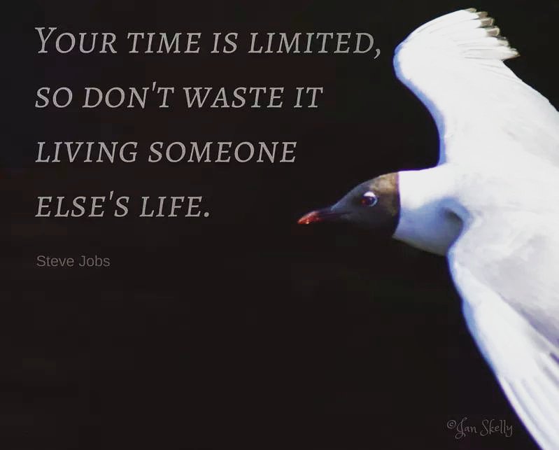 #mindfulness #inspiration #motivation #photography #NoteToSelf #Quote #quotes #SteveJobs #BeInspired