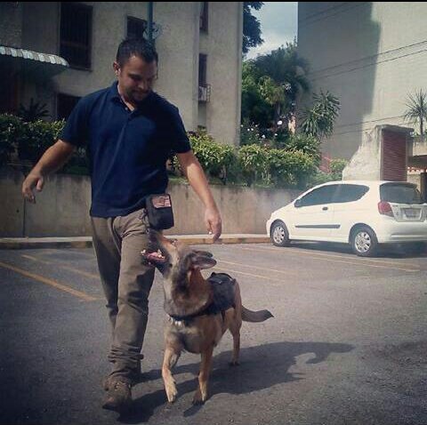 EscuelaDDK9's tweet photo. Le informamos a todos nuestros clientes y seguidores que la Escuela Canina DDK-9 estará participando en el Derby de Defensa y Obediencia Canina con su instructor Daniel Dommar.

La competencia se realizara el próximo #17Mar a las 9 am, en San Antonio de los Altos Edo. Miranda. https://t.co/WfjaGHieWP