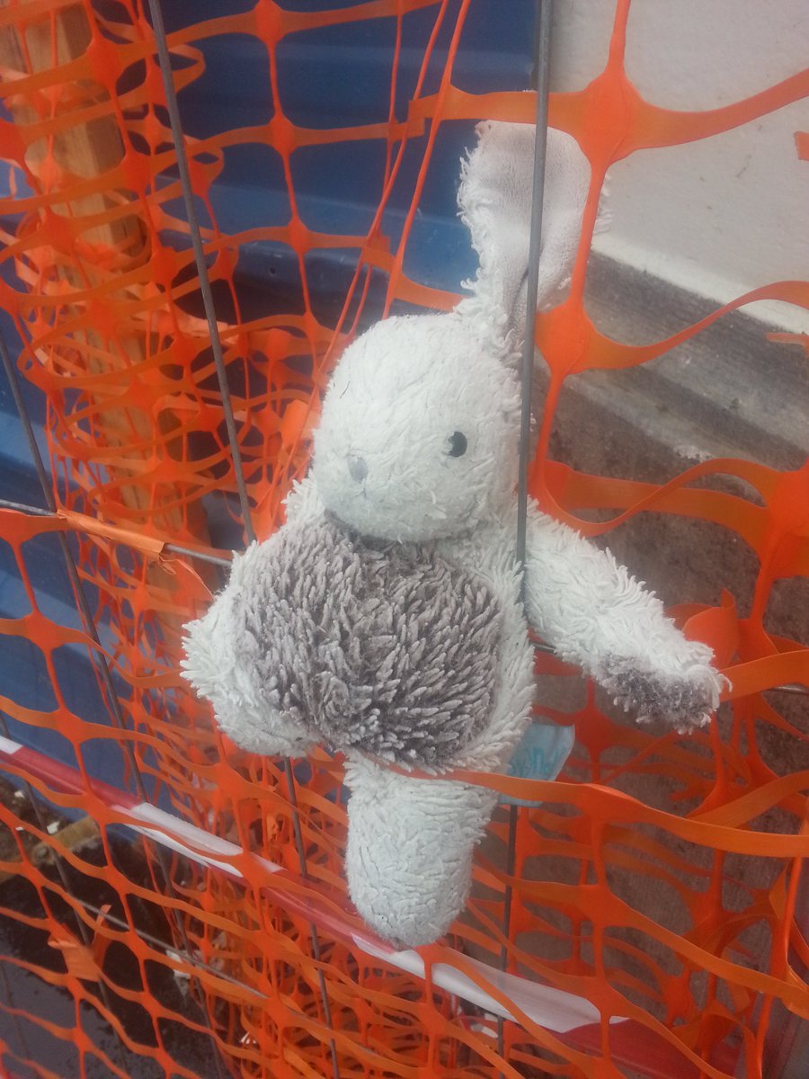 Pigeongratuit's tweet photo. @sos_doudou ce petit gars se trouve actuellement sur une grille (là ou je l'ai laissé, en espérant que son proprio vienne le chercher) au niveau du 518 avenue de la république à #Lille https://t.co/kCALjlBs17