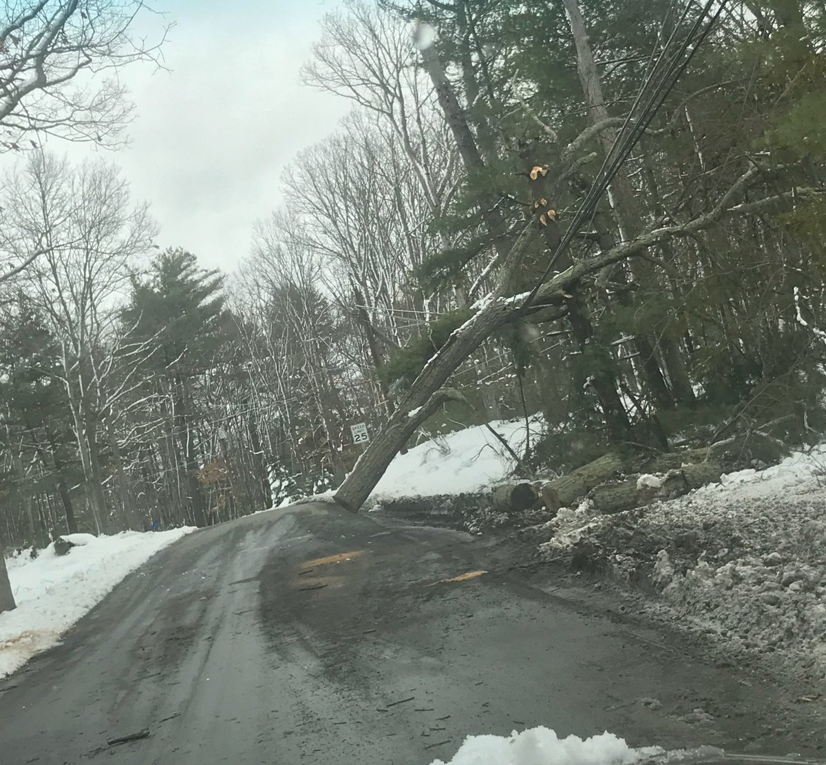 (( this is the damage we had to drive through today like they chopped the trees to let ppl through the road