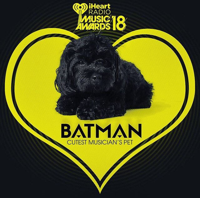 demyy000's tweet photo. I vote for #Batman for #CutestPet at the #iHeartAwards 
@ddlovato ❤ 🐾 https://t.co/aJSb4foGYf