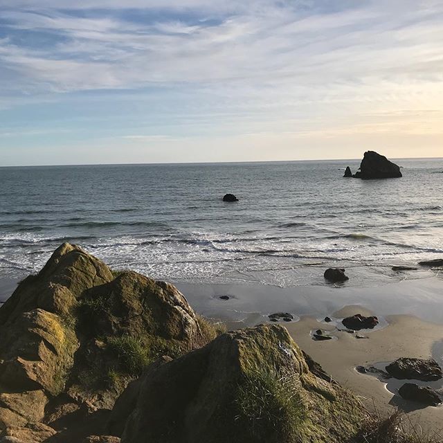 spetersartist's tweet photo. Oregon coast.. traveling north. #beautyexisteverywhere 
#travel #roadtrip #travelingartist #exploreyourworld #exploretocreate #oregon #oregonadventure #discoverearth #oregoncoast #ocean #bigrocks #adventure #inspire https://t.co/sPgjdbSXKB