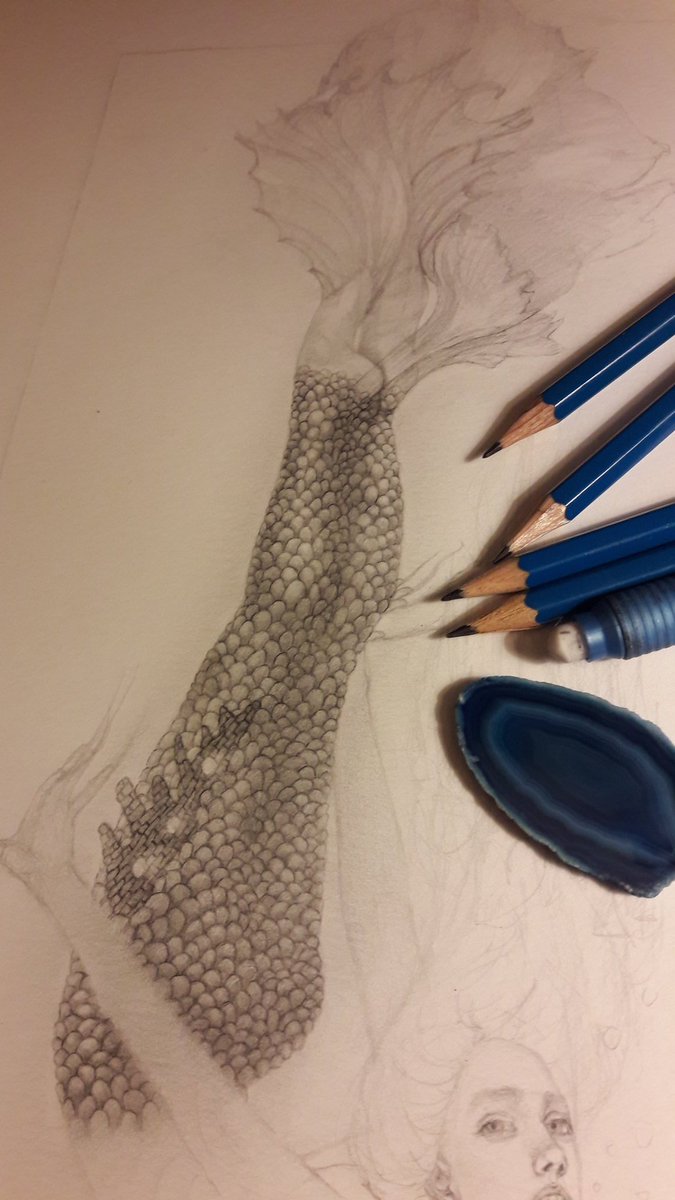 Jessica__Perner's tweet photo. Finishing up the tail, 9x12in graphite on paper. #art #drawingoftheday #drawings #drawing #dailyart #artdaily2018 #jessicapernerart #jessicaperner #graphitedrawing #wip #workinprogress #mermaid #mermaids #mermaidart #mermaidtail #artoftheday #graphitepencil https://t.co/ywtbQgQozv