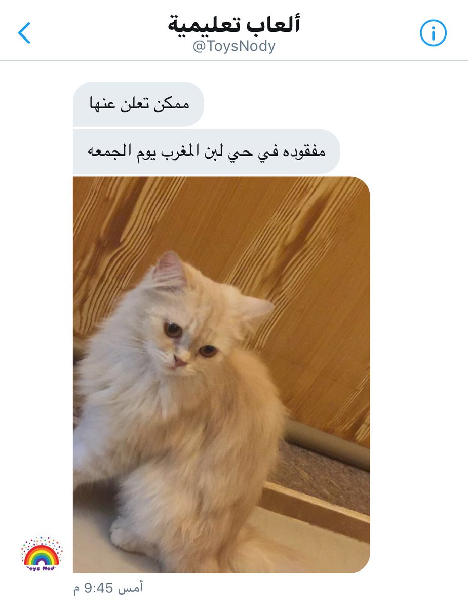 s_65_s's tweet photo. #قطط_مفقودة https://t.co/Pj0kwHstqB