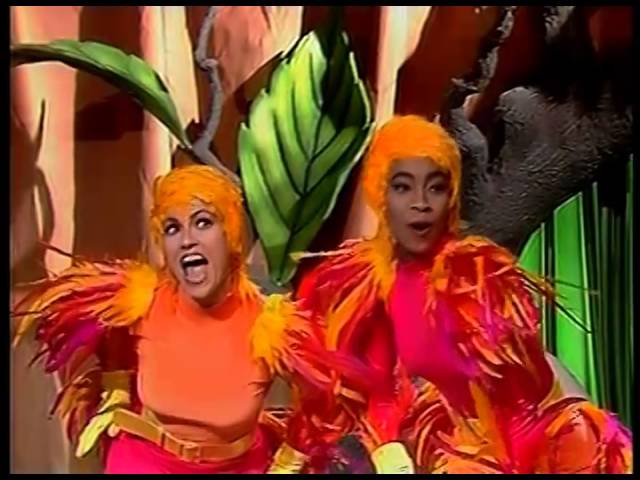tvcultura's tweet photo. E o Oscar de Melhor Passarinha vai para... #Oscars #Oscars90 https://t.co/yNguOcTArg