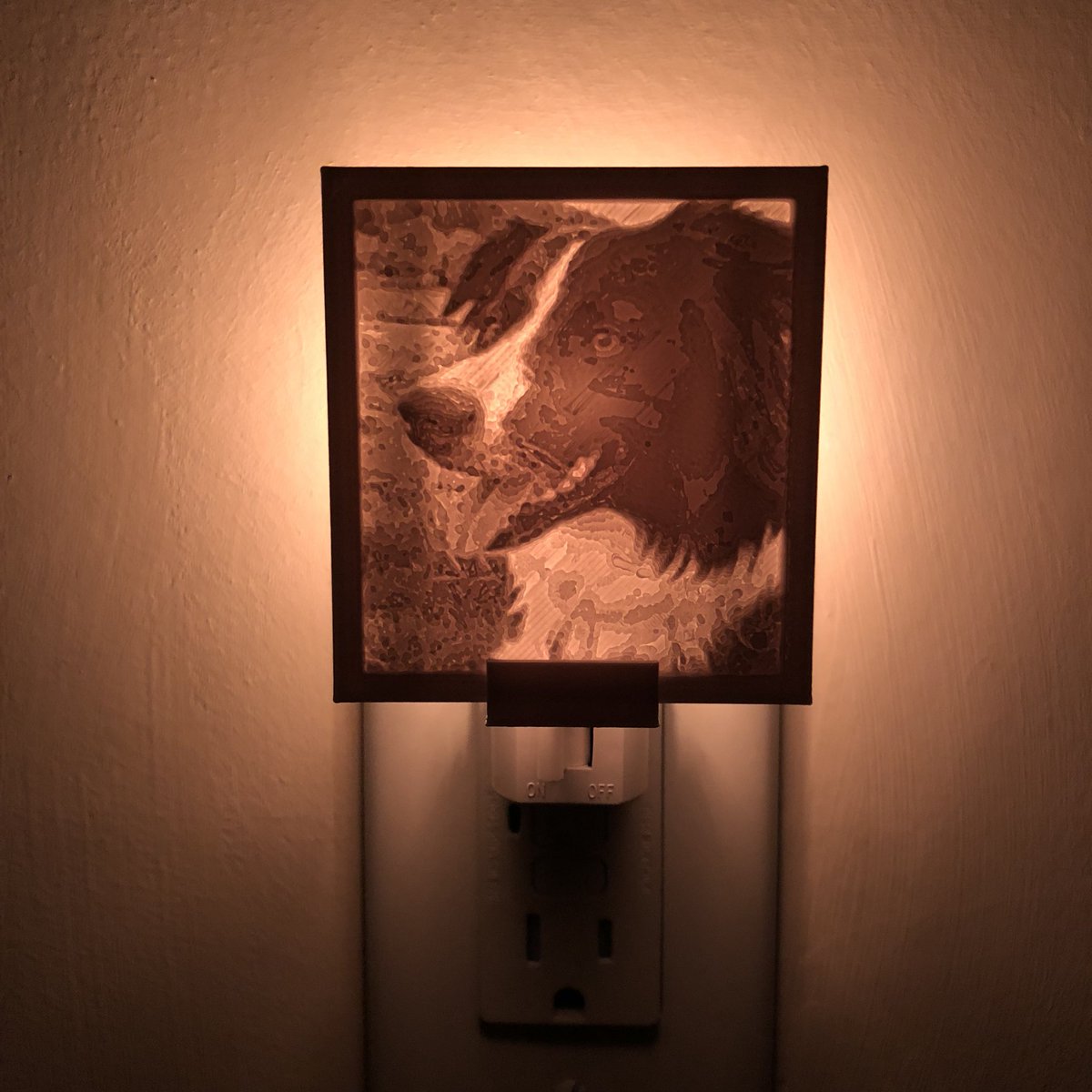 LLNightLights tweet picture