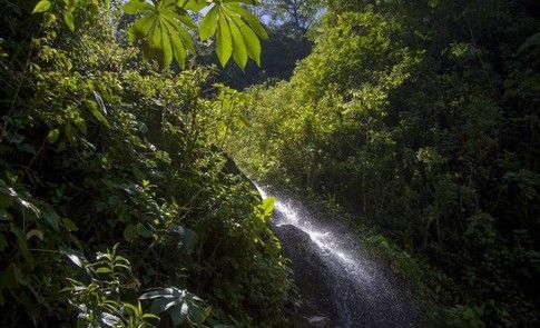 wef's tweet photo. #Peru has a new national park that's home to 2 million acres of rainforest https://t.co/B962XynY70 #environment https://t.co/YJKwoG9fWJ