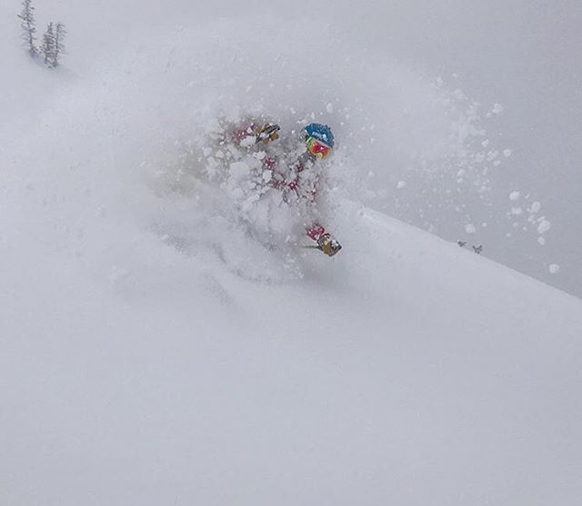 SkiUtah's tweet image. Today was THAT good 🏊🏼‍♂️
.
.
.
📸 @adambagelboy ⛷ @iskideeppow ift.tt/2tdV1Ul