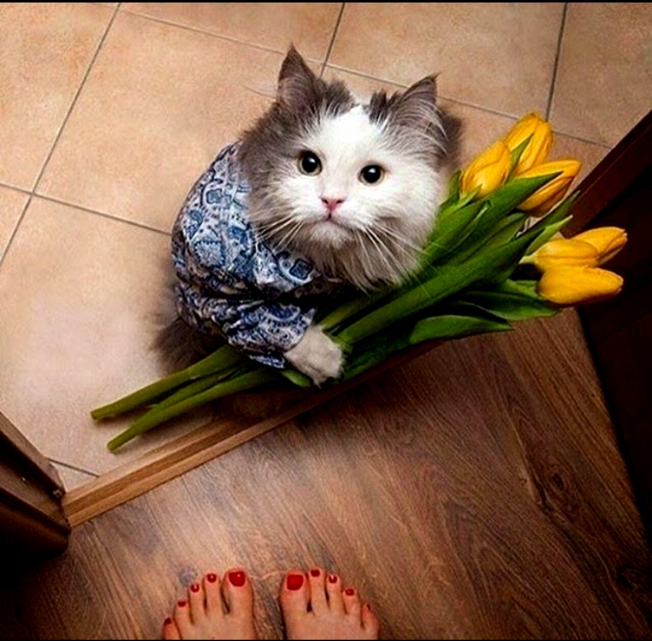 Открытка, открытки дарю цветы