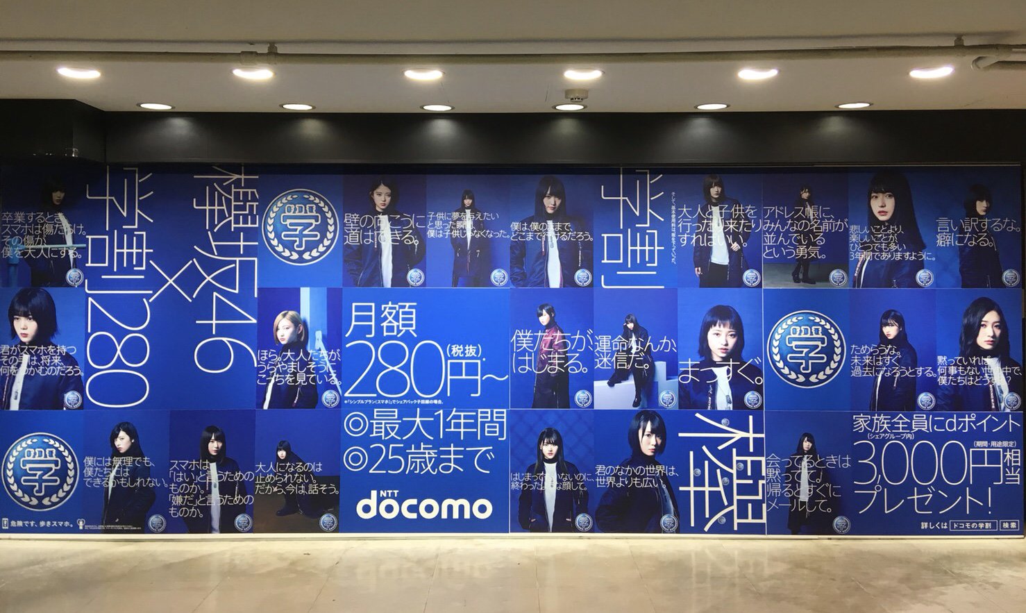 神藤剛 Auf Twitter Ntt Docomo ドコモの学割 欅坂46撮影させていただいております 街頭ポスター 総合カタログ 店頭ポスター 渋谷 新宿などなど順次公開中 是非ご覧ください