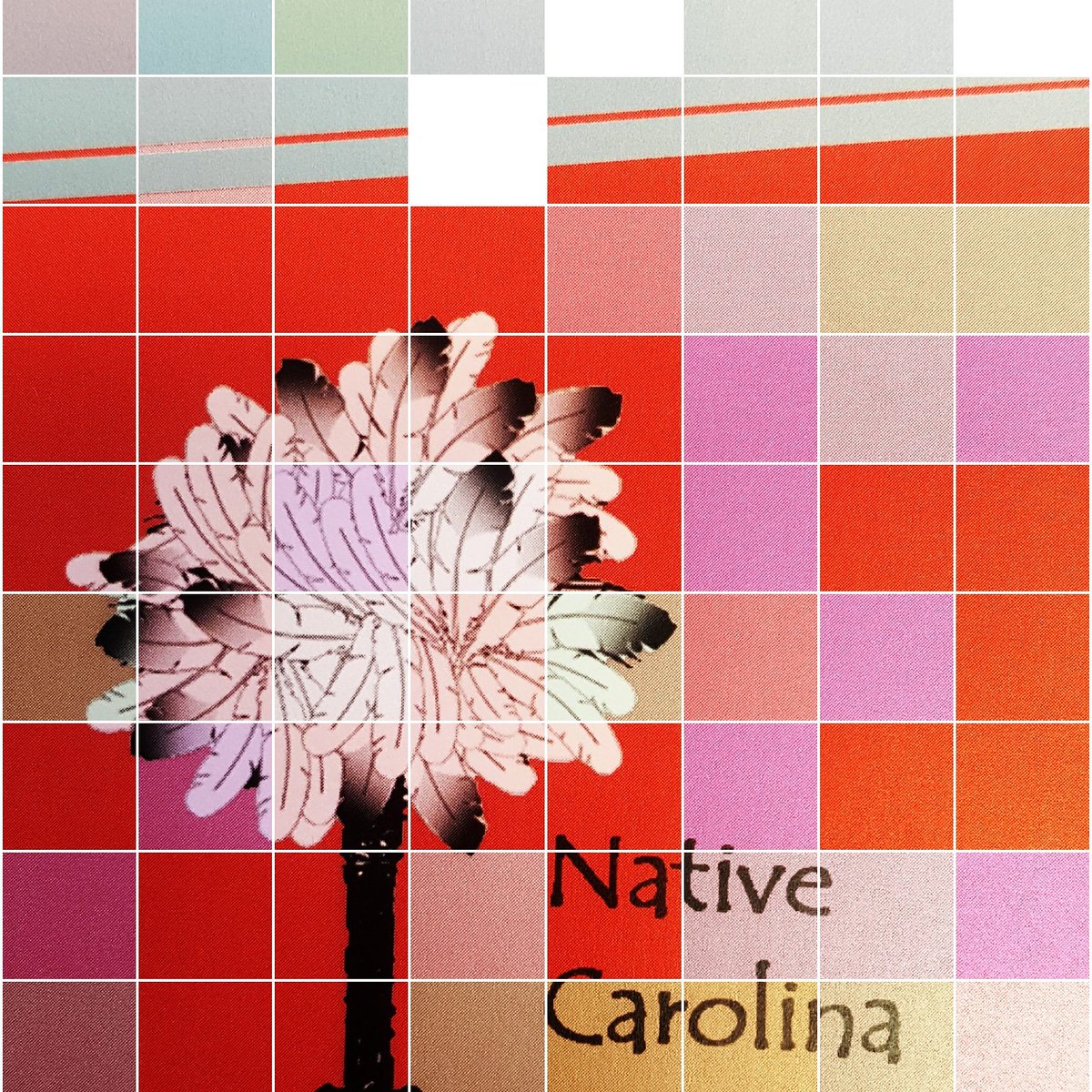 NativeCarolina's tweet photo. We are only a few likes away from 700! Visit https://t.co/pQygrJChnm and like our page! https://t.co/QxSf8uN658