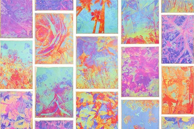 maramagyarosi's tweet photo. New work is up on the website, link in bio!
#artmuseum #artgallery #artcollector #artcollective #artforsale #anxiety #hyperstimulation #womenartists #girlboss #detroitmade #hustle #mixedmedia #fineart #phototransfer #alternativeprocess #artistsoninstagr… https://t.co/qrB8MLK4pF https://t.co/3pGRdwnbNy