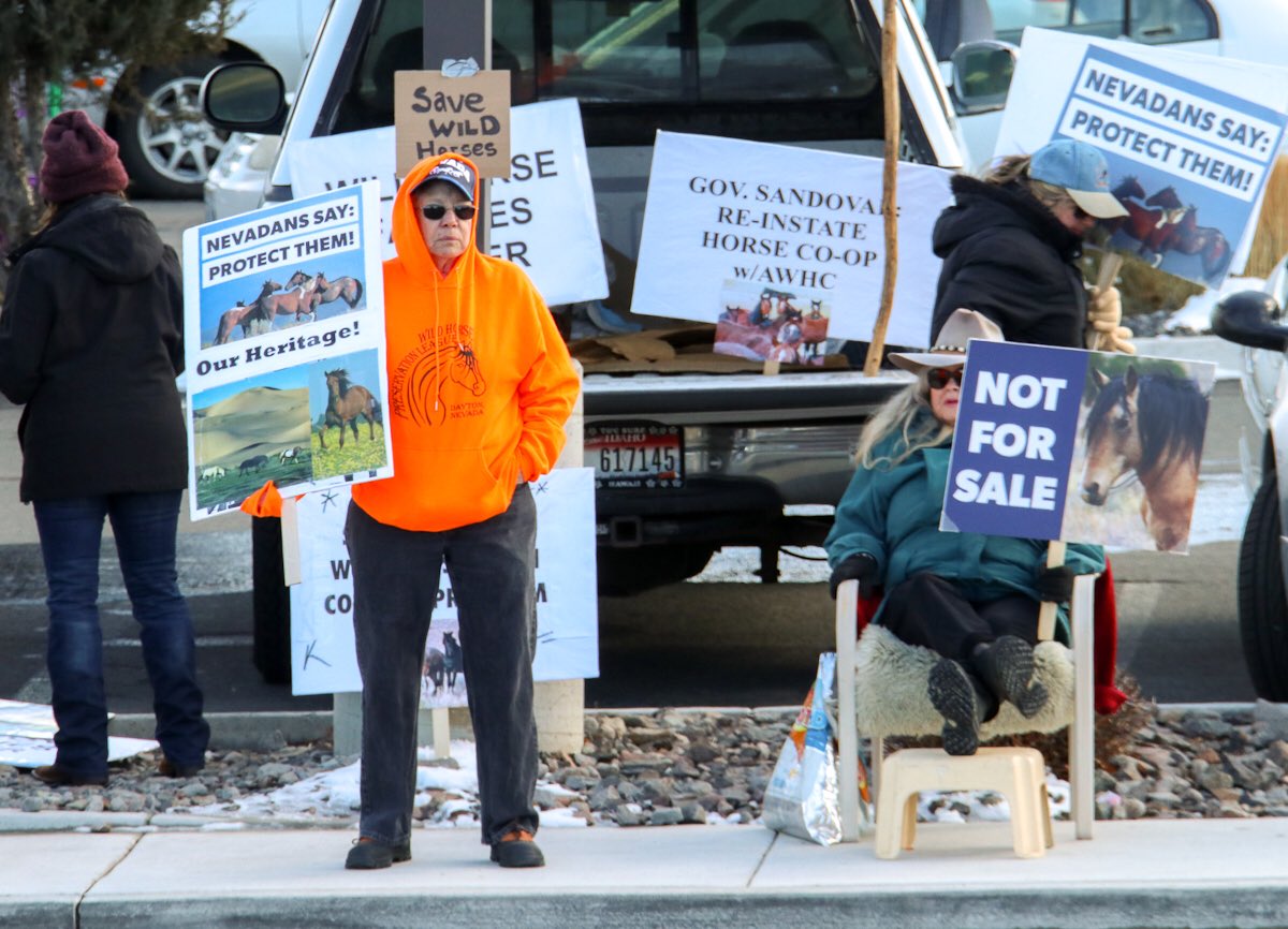 FreeWildHorses's tweet photo. Thank you to all of the advocates who braved the cold to call on Nevada Governor @BrianSandoval to protect the historic Virginia Range mustangs! #SaveVRMustangs
Photos by Steve Paige https://t.co/Dmwy7IkIqZ