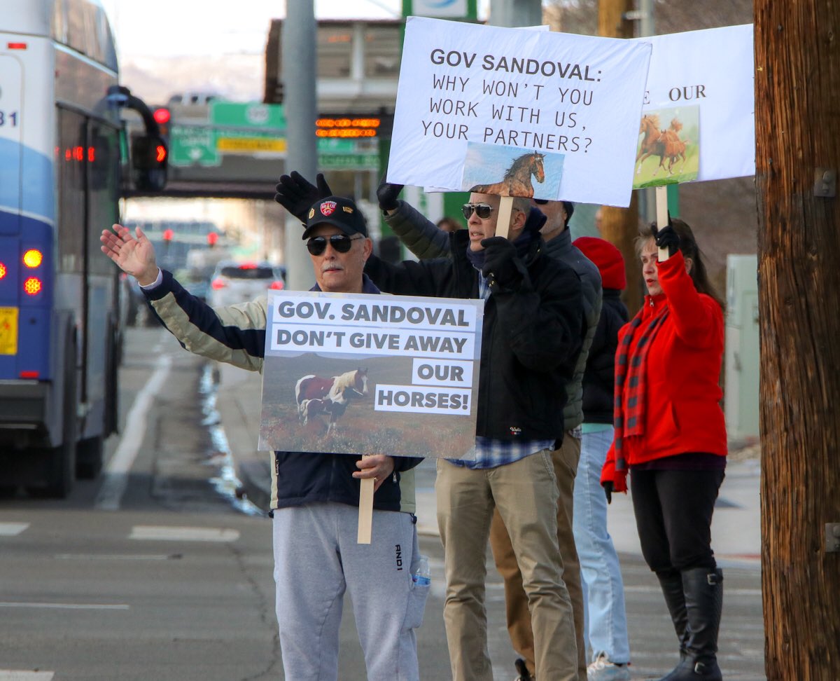 FreeWildHorses's tweet photo. Thank you to all of the advocates who braved the cold to call on Nevada Governor @BrianSandoval to protect the historic Virginia Range mustangs! #SaveVRMustangs
Photos by Steve Paige https://t.co/Dmwy7IkIqZ
