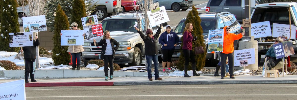 FreeWildHorses's tweet photo. Thank you to all of the advocates who braved the cold to call on Nevada Governor @BrianSandoval to protect the historic Virginia Range mustangs! #SaveVRMustangs
Photos by Steve Paige https://t.co/Dmwy7IkIqZ