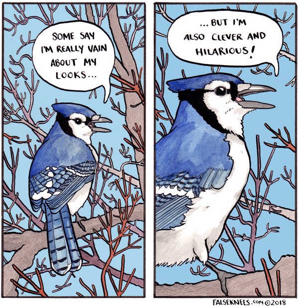 Who's feeling vain tonight?
https://t.co/DORP93t8SO 