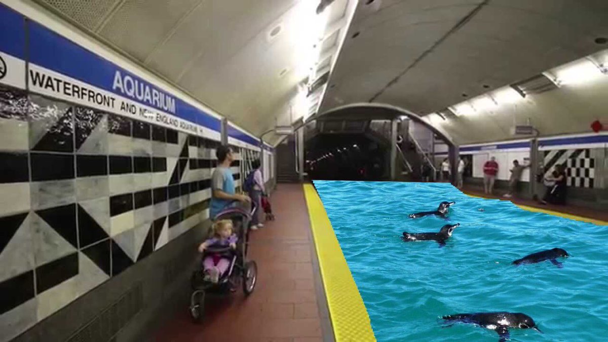 MBTAparody's tweet photo. Don't worry, this is part of our new station concept. Sea seals are used to provide more reliable service to customers. Concept is shown below. https://t.co/ChOGbNCcLf https://t.co/hrHgCuJEHE