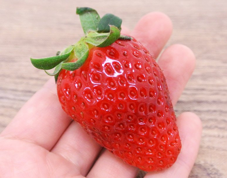 豊洲市場ドットコム いばらキッス 再撮影の為に久しぶりに入手しましたがとても大きくて立派な苺 でした 外皮から3分の2くらいまでが赤く 白に変わって空洞のある部分がまたピンク色に戻る独特な 苺の断面図 です 甘さが強い苺ですが 酸味との