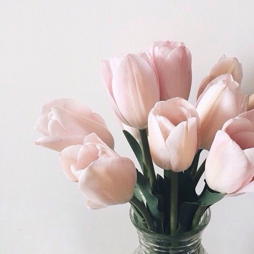 попробую еще раз🌸
поддержите пожалуйста 🌸

🌸фоллоу ми (я взаимный)
🌸делай рт
🌸читай ретвитнувших
🌸жди новых читателей 
🌸будь счастлив 

#ЦепочкаТвиттерских #ВайрсФолловитВсех #ЦепочкаФолловеров #СайризСосетВИнсту #взаимныйфолловинг
#ЭффичезФолловитКлику