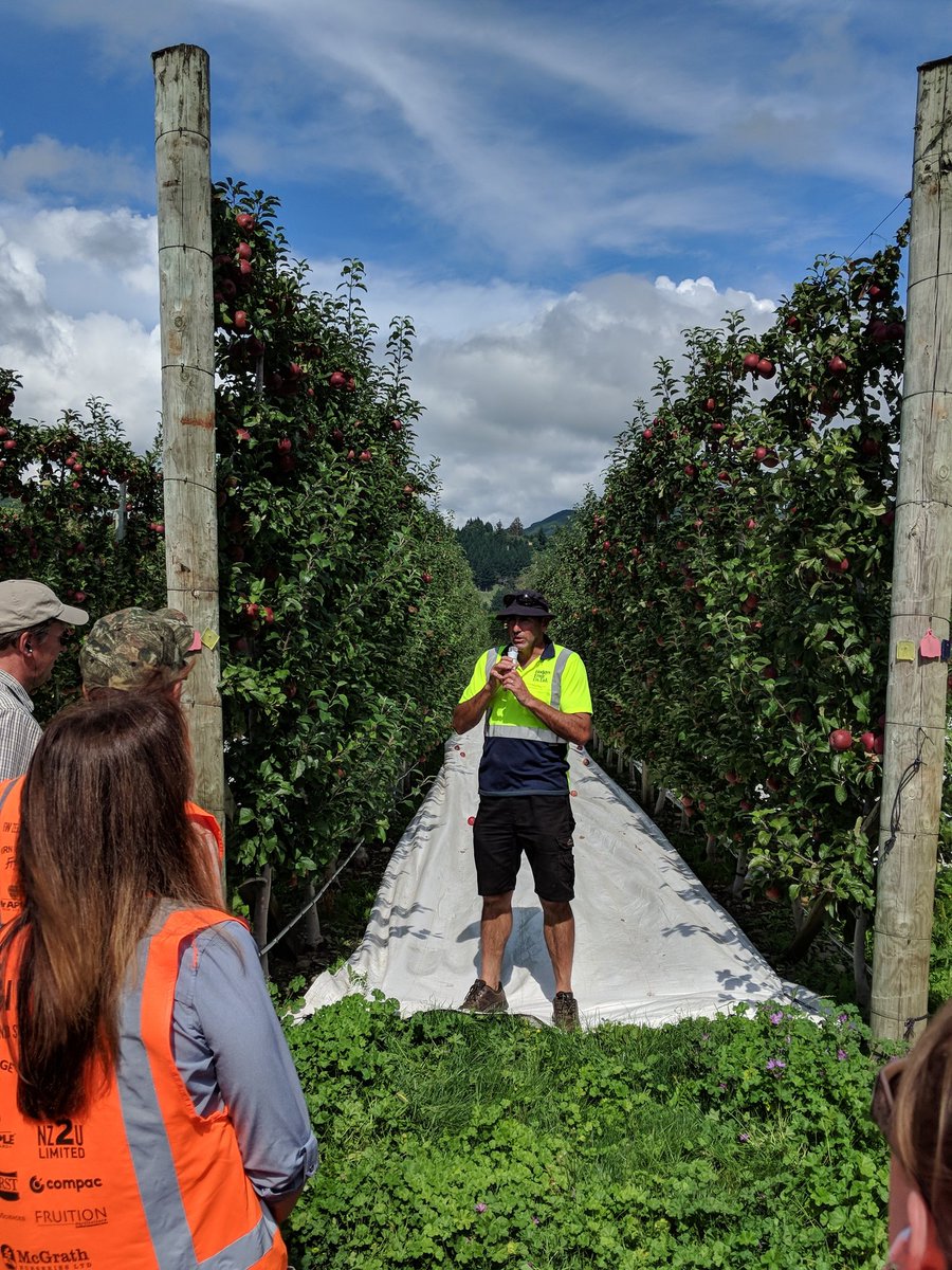 jmcextman's tweet photo. Transition from 4-D to 3-D to 2-D apple orchard canopies at Hoddie's Orchards, last stop of Nelson area #iftanz orchard tours https://t.co/7pk4i88j3L