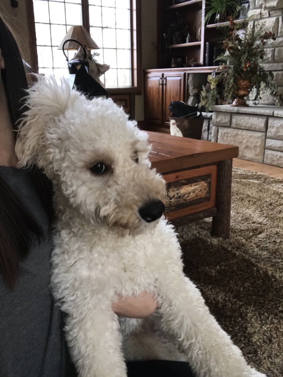 CameronLR14's tweet photo. Happy first birthday remi ❤️❤️❤️ https://t.co/Bqq9zoOs0y