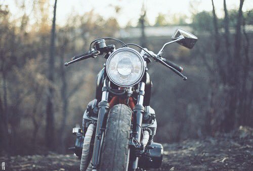 DarylDixon_off's tweet photo. ~ •Daryl Dixon• ~ https://t.co/5NiqzDXpDc
