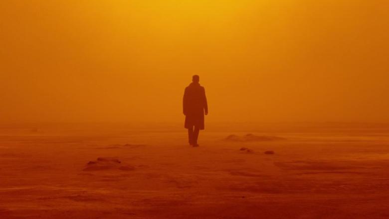 IndieWire's tweet photo. HE DID IT! Roger Deakins has won the Oscar for Best Cinematography. Full winners list: https://t.co/r6O1pqLSsQ #Oscars90 #BladeRunner2049 https://t.co/NuRMx4zxwf