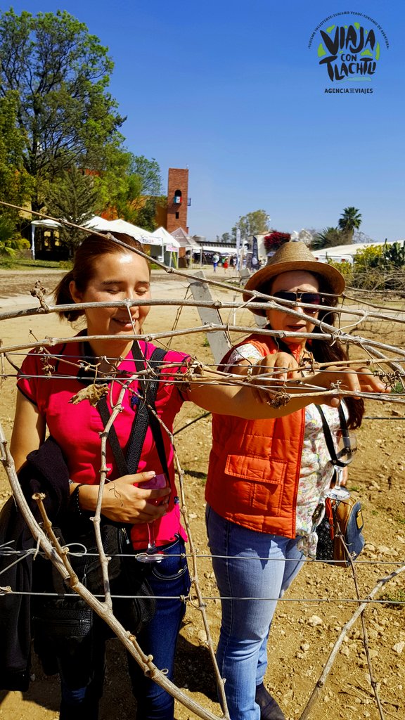 DipTurInclusivo's tweet photo. Las PcD tienen derecho al viaje @ViajesTlachtli @latamaccesible @entornoaccesibl @turismoadaptado @Pantou_tourism @ciudadparatodos https://t.co/YcfCrT2Tu8