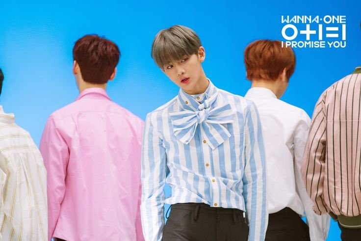 wanna one pics tweet media