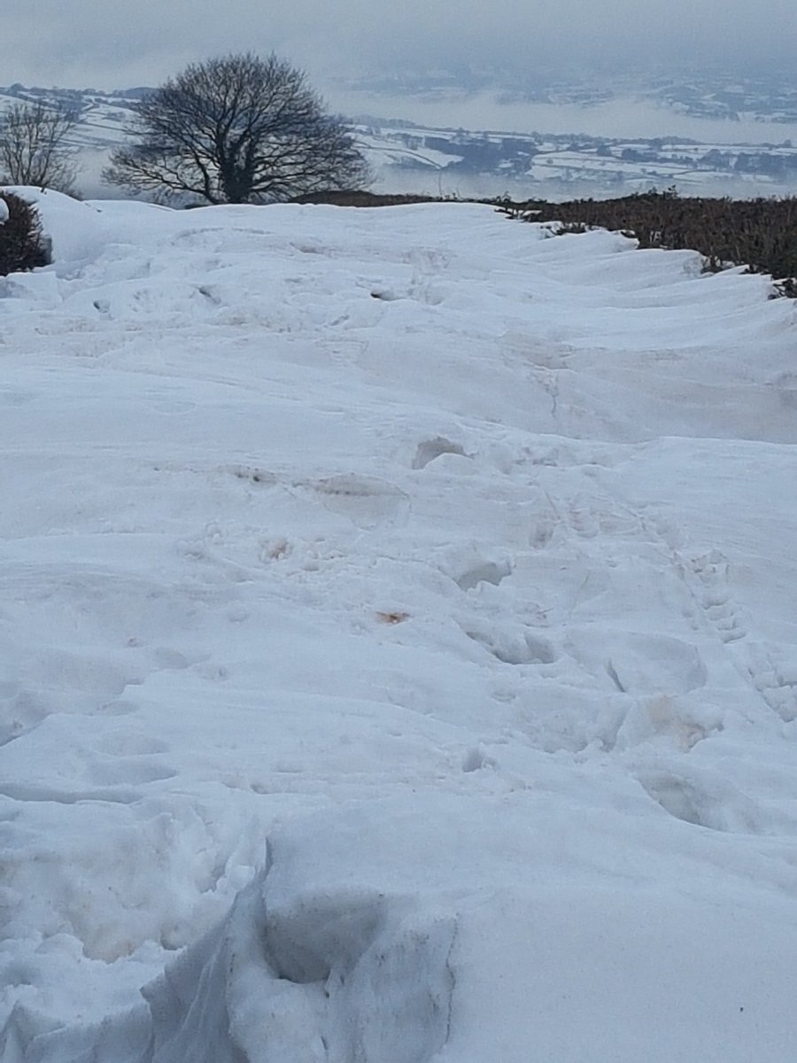 WmPowell2021's tweet photo. A479 open - but Upper Penbont Road to Heol Cwm still presents a challenge. Think the ♻ might take a hit. #TheBeastFromTheEast #TheLastStand https://t.co/ENpZrFK0u1