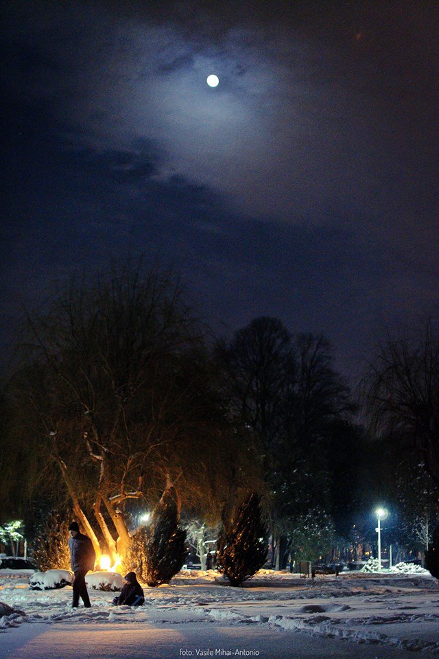 RomaniaAziNet's tweet photo. Peisaj de Iarna, si o luna plina ascunsa printre nori :) 
Parcul Bazilescu, București
Foto Vasile Mihai-Antonio 
#romamiazi #romania #iarna #moon #peisaj https://t.co/zZOXgbqTPK