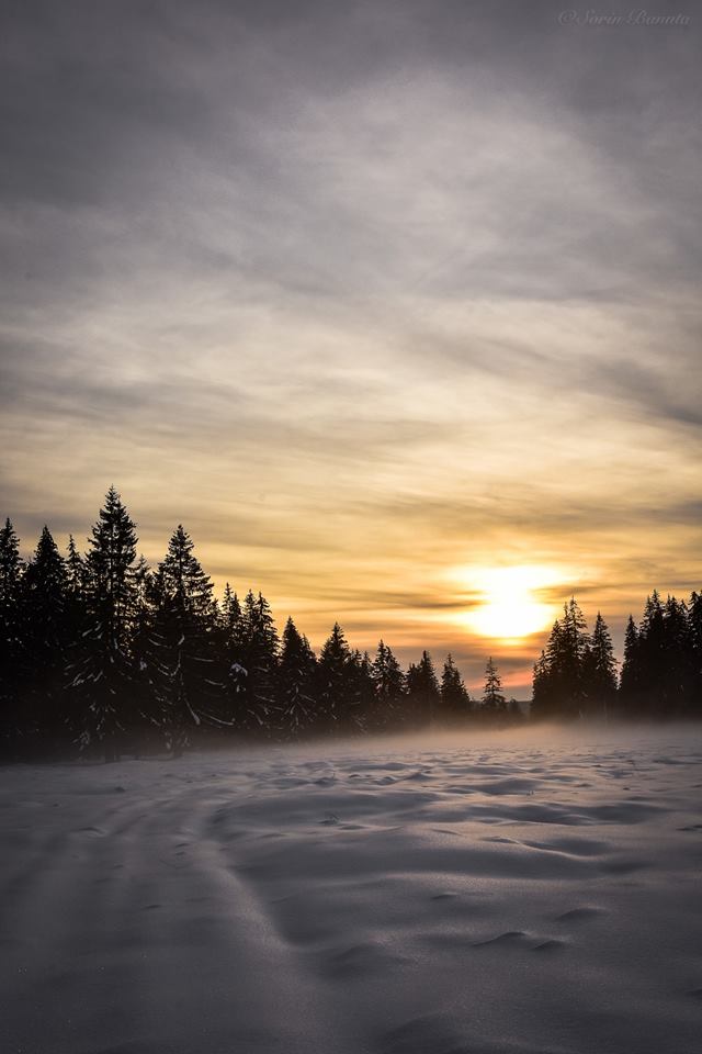 RomaniaAziNet's tweet photo. Vă dorim o seară frumoasă
Foto: Sorin Bănuță
#romanialive #romania #soare #peisaj #munte #muntiiromaniei https://t.co/O74KCGVGiO