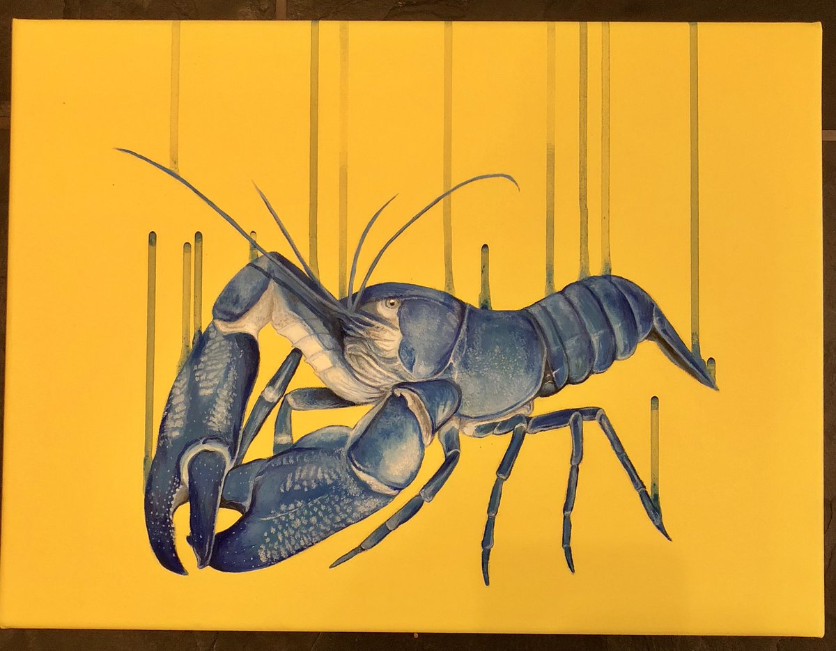 Finished this little Blue Lobster #commission over the weekend 💙💙