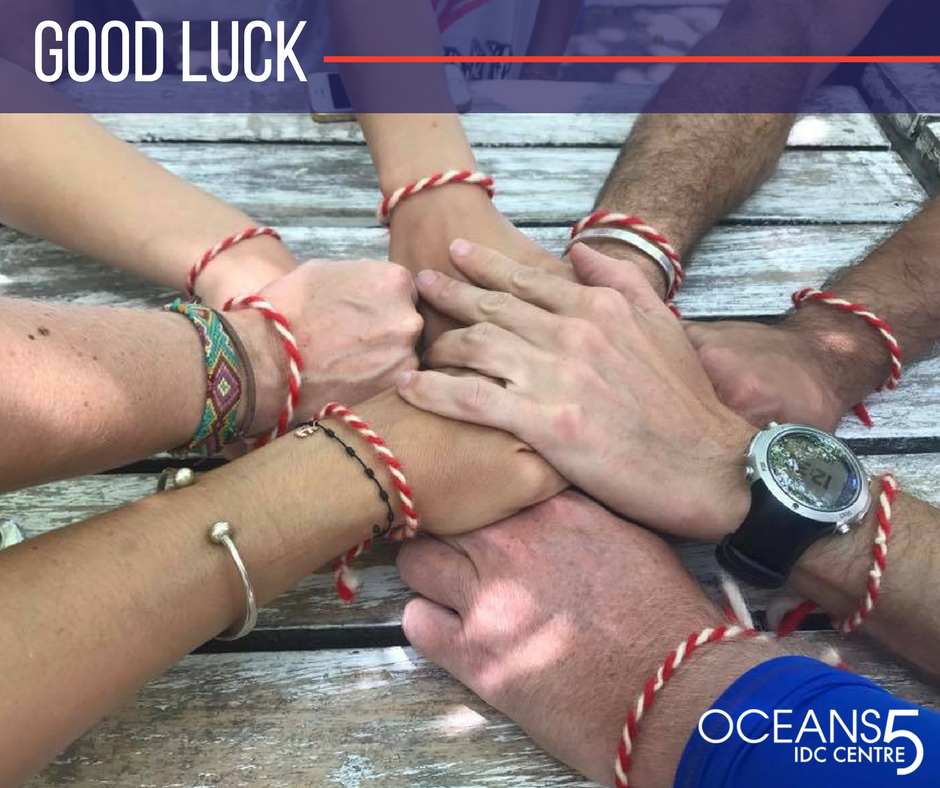 Oceans5Dive's tweet photo. Day 1 of the #PADI #InstructorExamination for our candidates! #goodluckeveryone https://t.co/zuhtzlIFUi