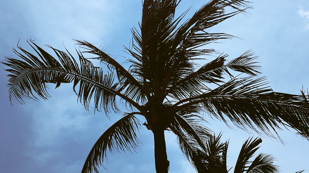 MOKSMUSIC's tweet photo. Greetings from Bali ☀️ https://t.co/l1jijj0RB4