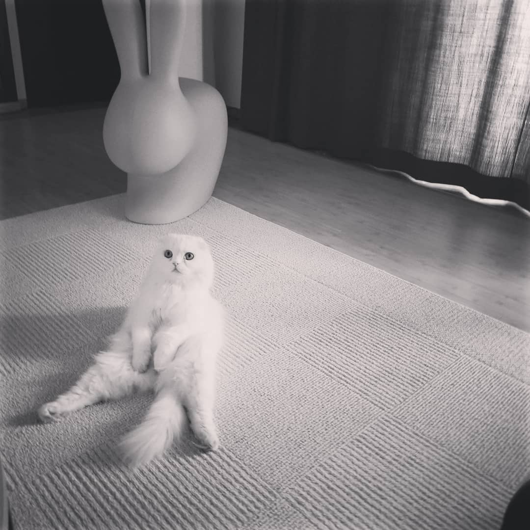 [SOYOU INSTAGRAM] soooo_you: ㅋㅋㅋ그렇게 앉아있지맛😆😆 kpopsnaps.com/p/Bf7lSeVnXhw #kpopsnaps