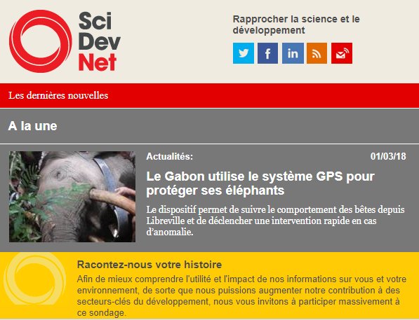 scidevafrique's tweet photo. #Newsletter - Nous vous invitons à bien démarrer la semaine avec notre #bulletin hebdomadaire disponible ici 👉🏽https://t.co/K9emdXqgnD. Bonne #lecture.
#SciDevNet - Rapprocher la #science et le #développement https://t.co/iRvLtalbd0