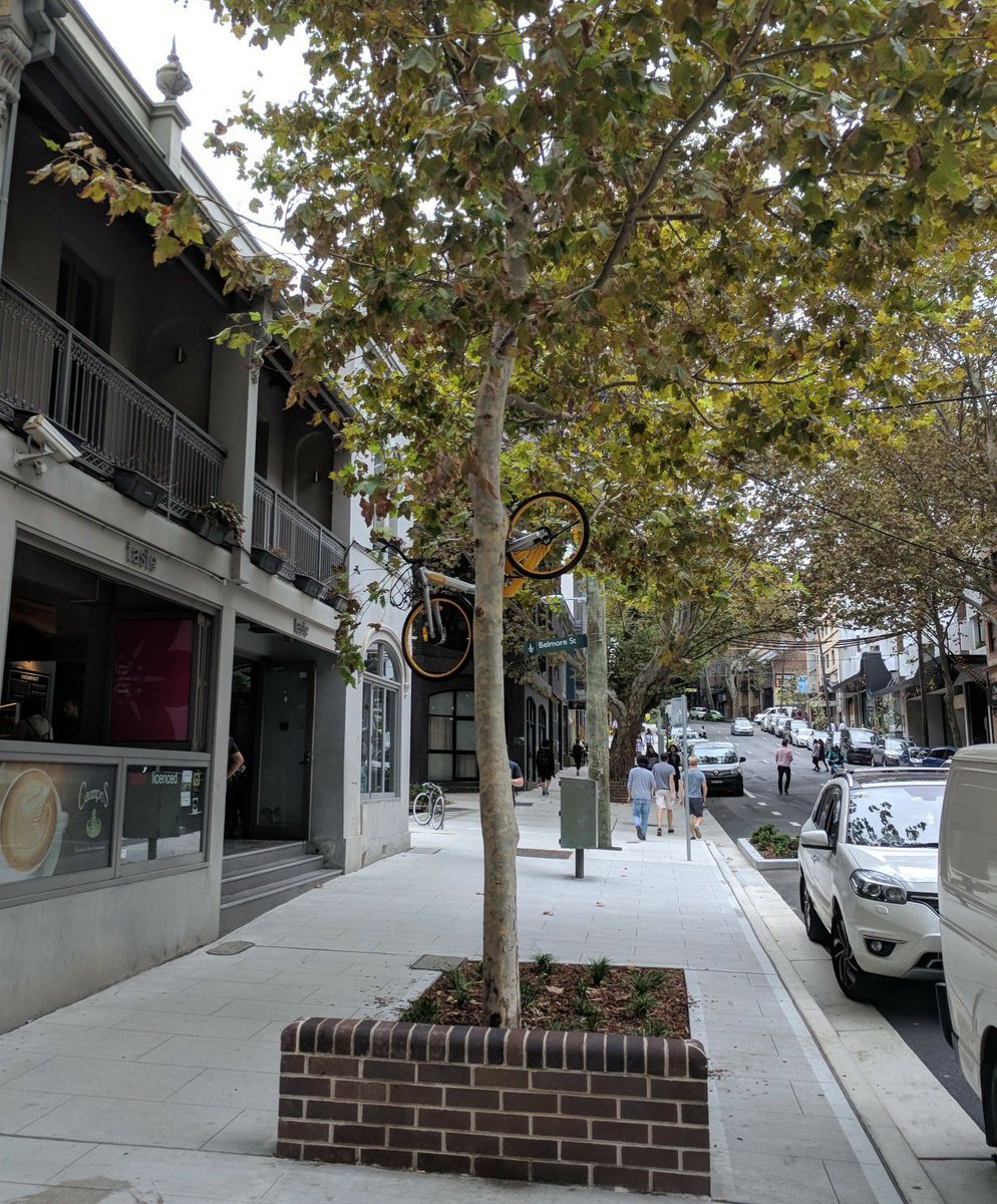 DaneEldridge's tweet photo. Share bikes, so convenient you can leave them *anywhere*! #surryhills https://t.co/i2sDWBty6u