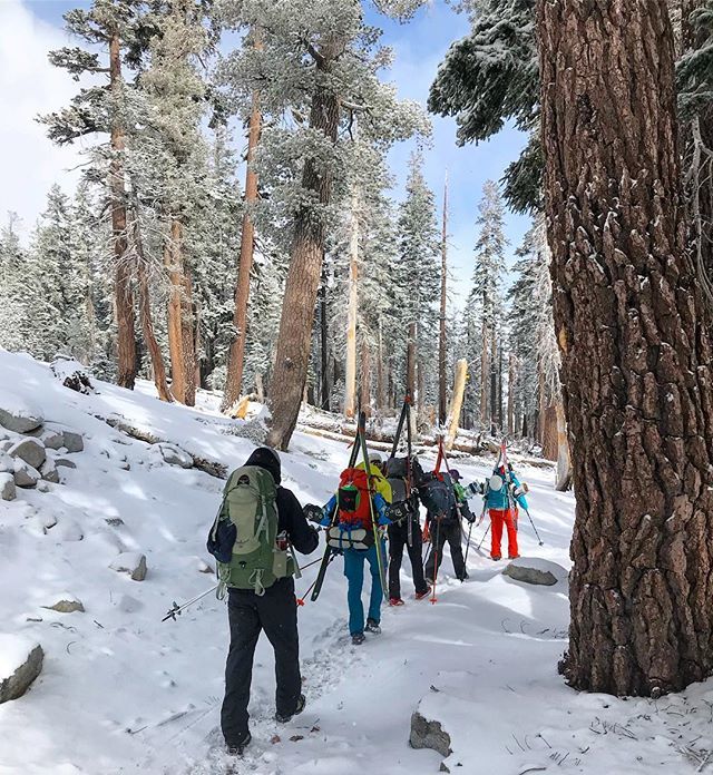 RachShredGnar's tweet photo. I’m okay with this “pack” mentality 🎒 #squadgoals #backcountry #huttrip #splitboarding #ostranderhut #yosemitenationalpark #yosemite #womenwhoexplore
.
.
.
.
.
#adventure #exploreeverything #getoutside #instatravel #in2nature #keepitwild #neverstopex… https://t.co/Brd7Se55YO https://t.co/wlM0cbSQME