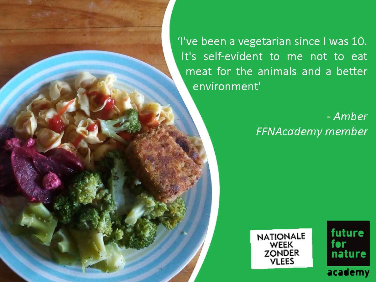 FFNAcademy's tweet photo. This week is the national meatless week!
To keep you motivated we will share some meatless meals and quotes of our FFNAcademy members with you. #weekzondervlees #meatlessweek https://t.co/0OmgofOuoD
